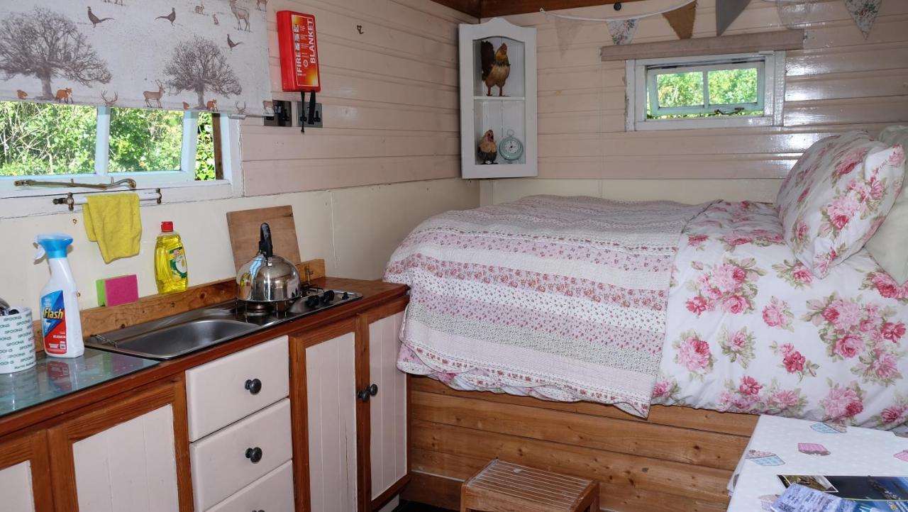 Cosy Shepherds Hut Nr Kynance Cove Villa Lizard Exterior photo