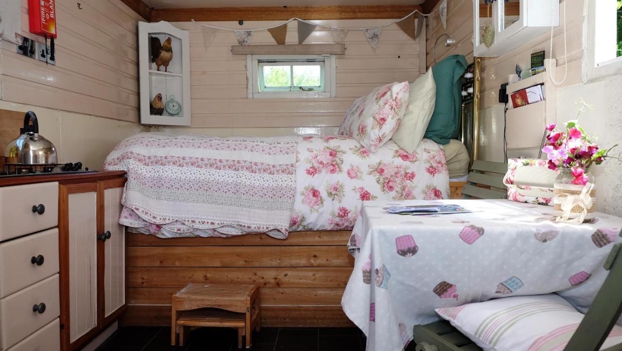 Cosy Shepherds Hut Nr Kynance Cove Villa Lizard Exterior photo